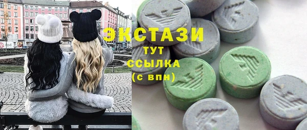 соль ск Артём