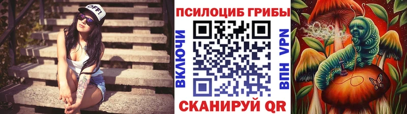 Псилоцибиновые грибы GOLDEN TEACHER  mega   Североморск  где можно купить наркотик 