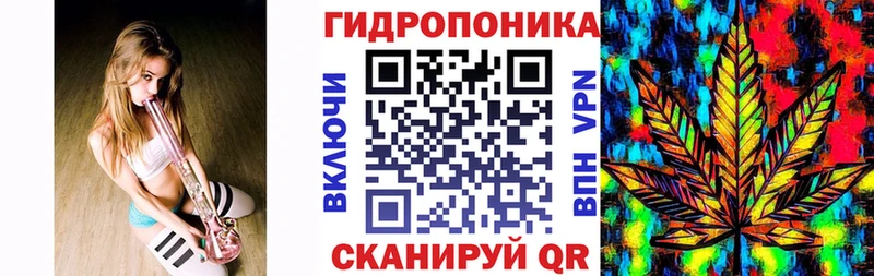 блэк спрут рабочий сайт  где продают наркотики  Североморск  Конопля план 